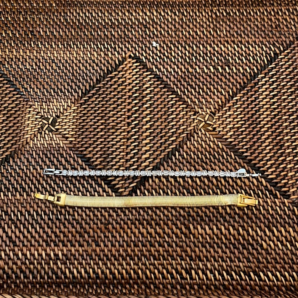 Two Clare V. bracelets-baguette and snake chain.